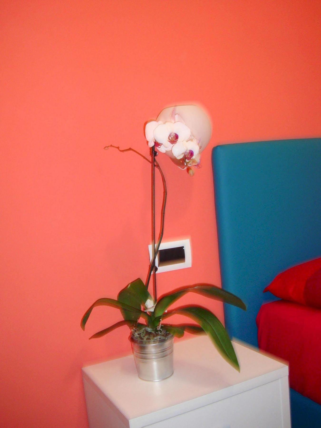 Bovio Modern Bed and breakfast 3*
